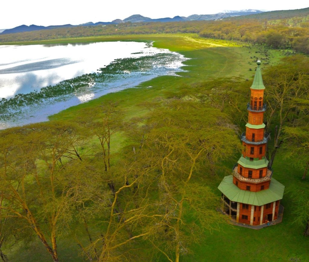 Aerial view of Dodo's Tower