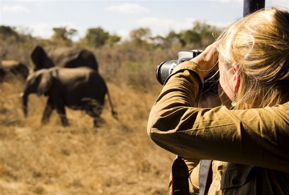 Africa wildlife photographic safaris