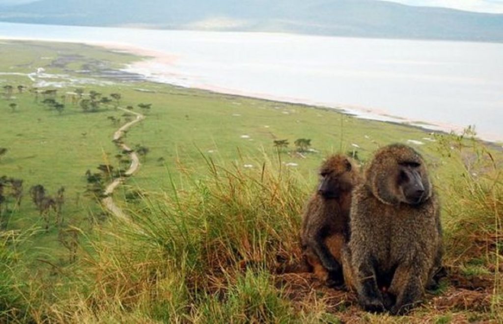 Baboon-Cliff-in-Lake-Nakuru-National-Park