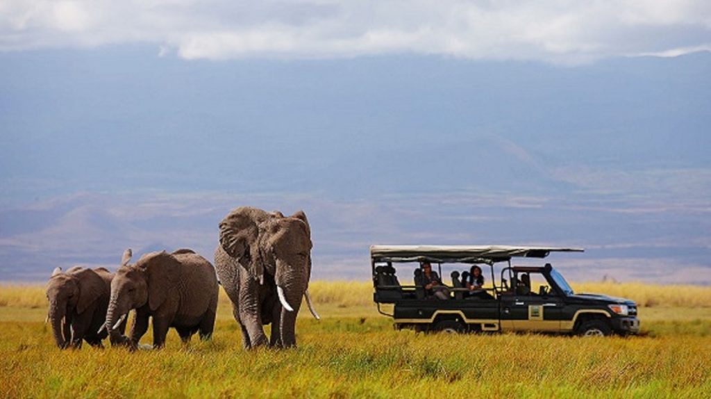 Game-drive-in-Amboseli-national-park