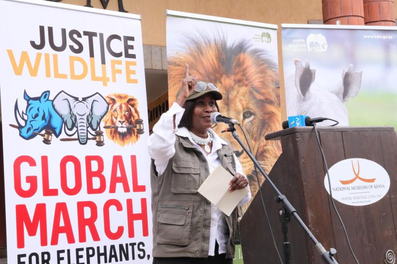 Taking a stand for wildlife: Former Cabinet Secretary for Environment and Natural Resources, H.E. Judi Wangalwa Wakhungu, delivers a powerful speech at the Justice for Wildlife Global March, advocating for the protection of endangered species and preservation of their habitats