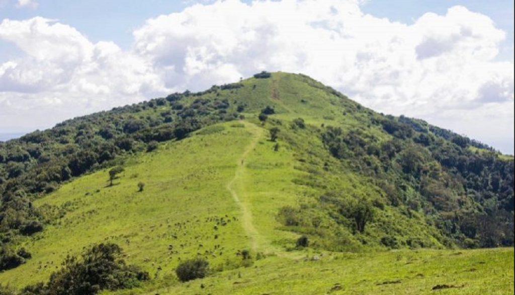 Hiking in Ngong Hills