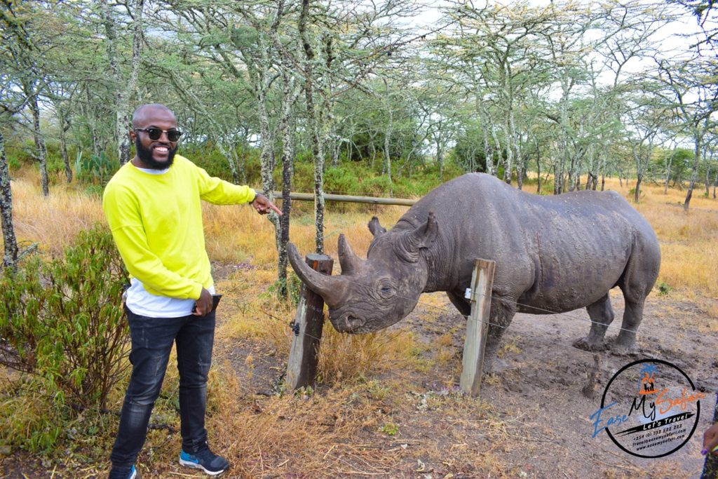 Baraka, the Blind Rhino at Ol Pejeta Conservancy