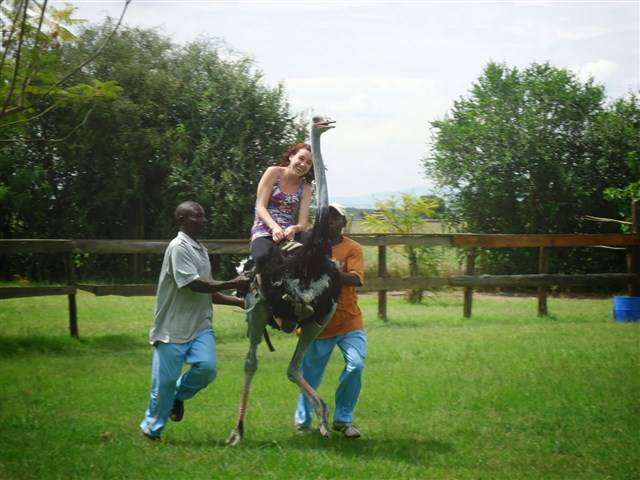 Ostrich Ride in Maasai Ostrich Farm2