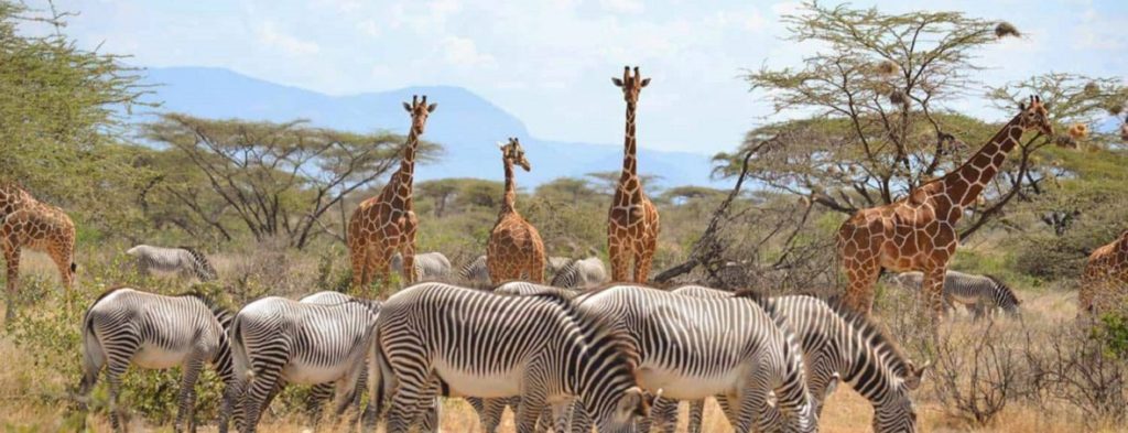 Samburu-National-Park-