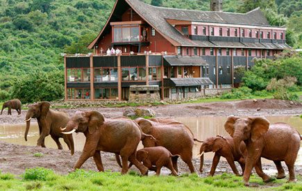 The-Ark-Lodge-Aberdares-Mount-Kenya-Holiday-Packages