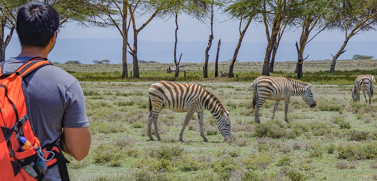 Walking safaris in Crescent Island Game Sanctuary in Naivasha