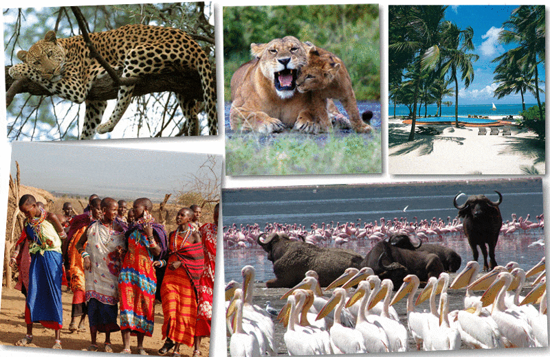 Safari in Kenya, Beach Holidays, Wildlife Safaris, Cultural & Heritage Safaris, Holiday Safaris, Maasai Village Visit