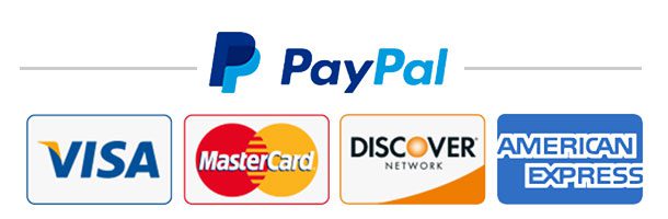 Paypal Online Payment